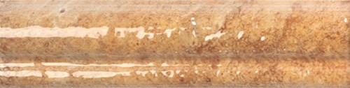 萊德尼采