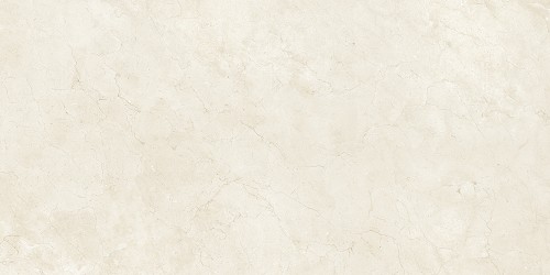 ★弗利石英磚(大尺寸磁磚)
