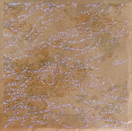 萊麗雅