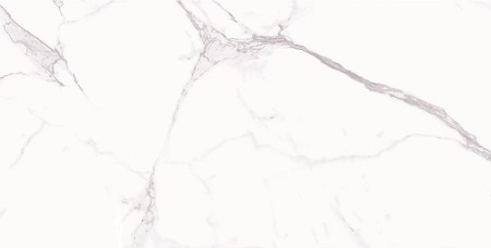 尼爾頓釉拋磚