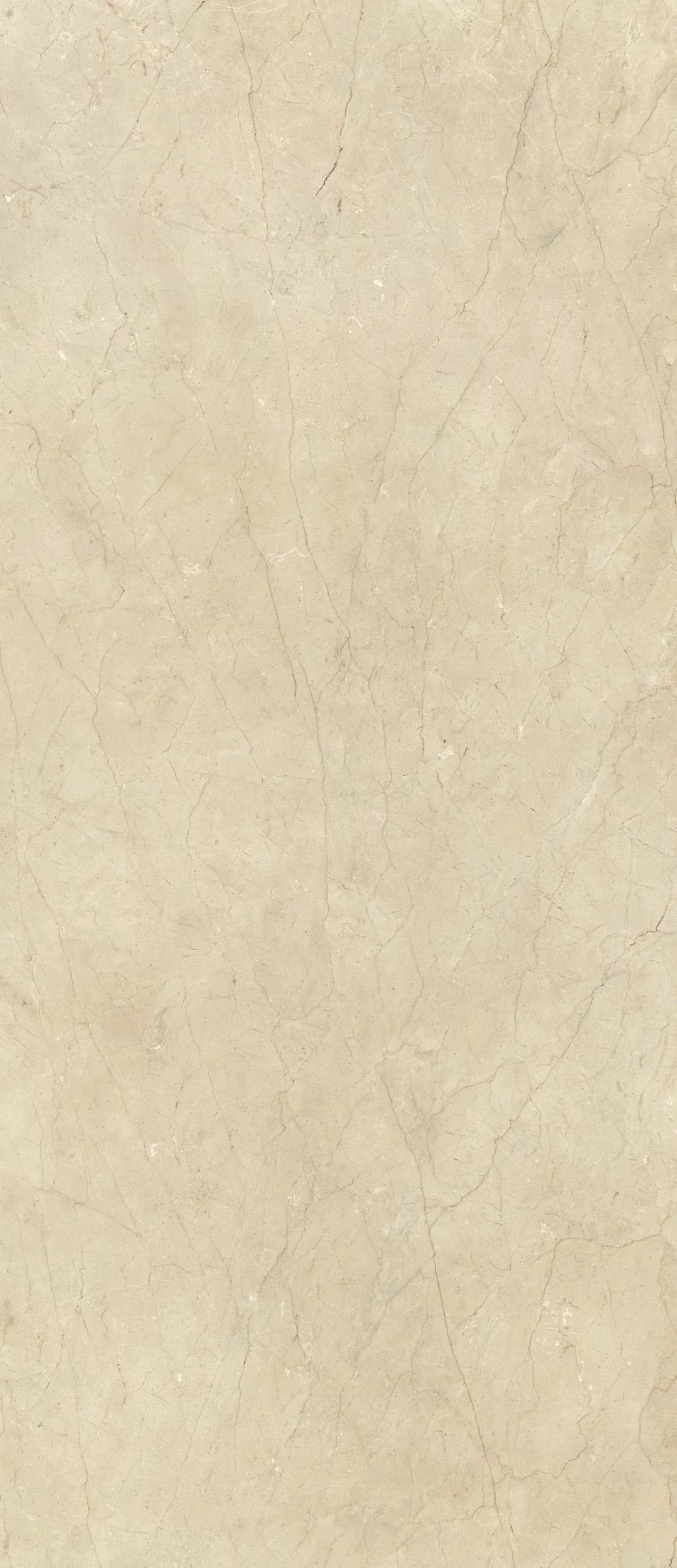 山帝薄板磁磚
