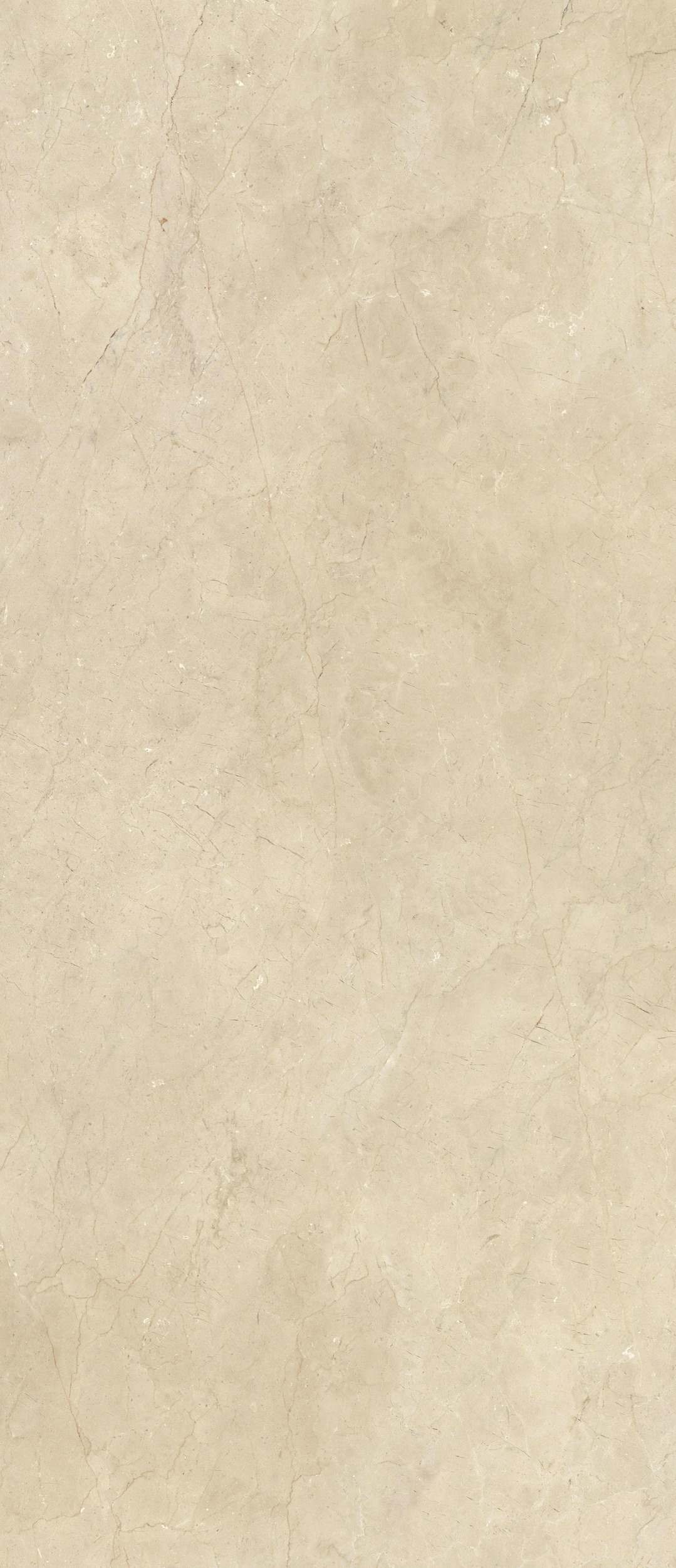 山帝薄板磁磚